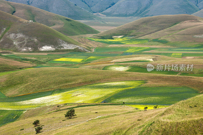 Piano Grande di Castelluccio(意大利)，绿色山丘上的村庄